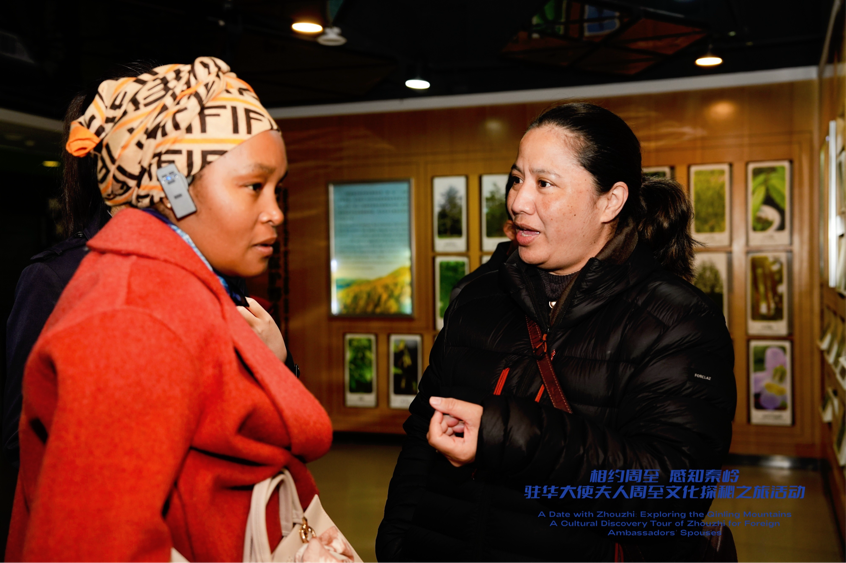 秦嶺為卷 五色成章 周至以生態與文化為媒 打造“世界會客廳”_fororder_圖片6