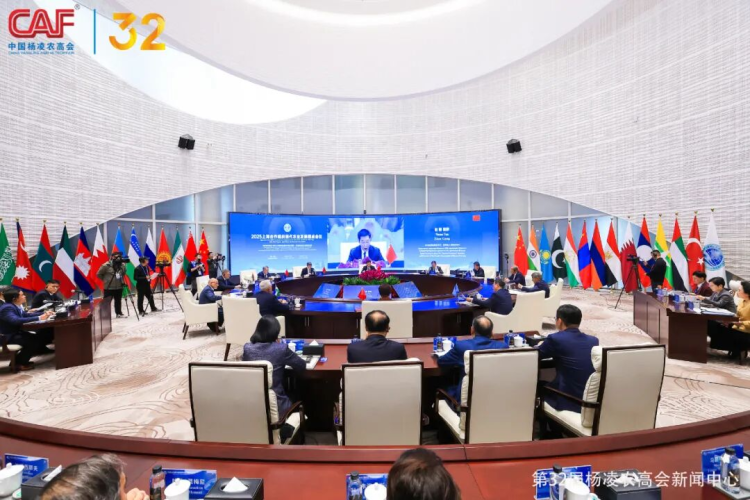 楊淩農高會:全球農業合作的“橋梁”_fororder_圖片2