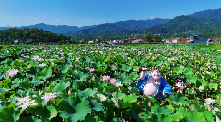 新春走基層｜安康市漢陰縣：做強特色産業 鄉村振興向“新”更“興”