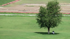 遺址公園秋景如畫