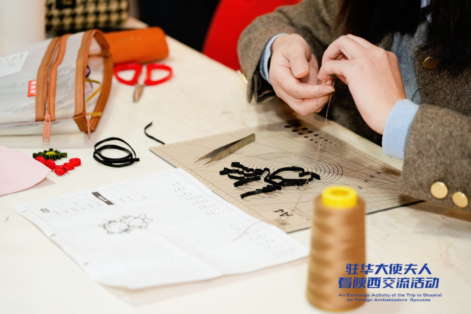 駐華大使夫人走進陜西省婦女兒童活動中心 解碼“她力量”盛放的N種可能_fororder_圖片903