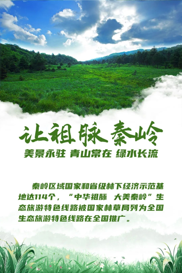 陜西：當好秦嶺生態衛士 繪就“綠水青山”新畫卷_fororder_圖片4