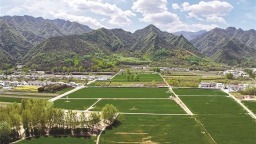 西安市智慧管山提升數字秦嶺含“綠”量