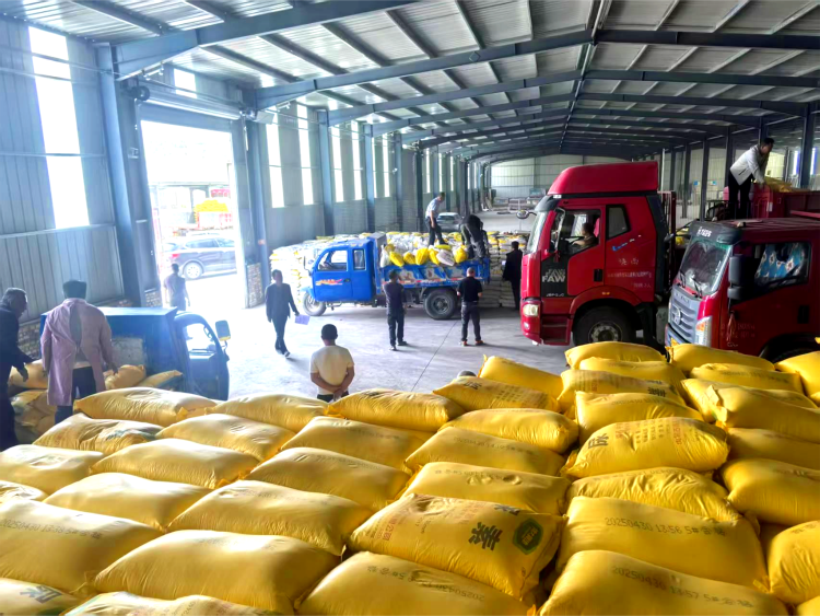 榆林橫山：物資與技術雙護航 助力農業生産跑出“加速度”_fororder_圖片1