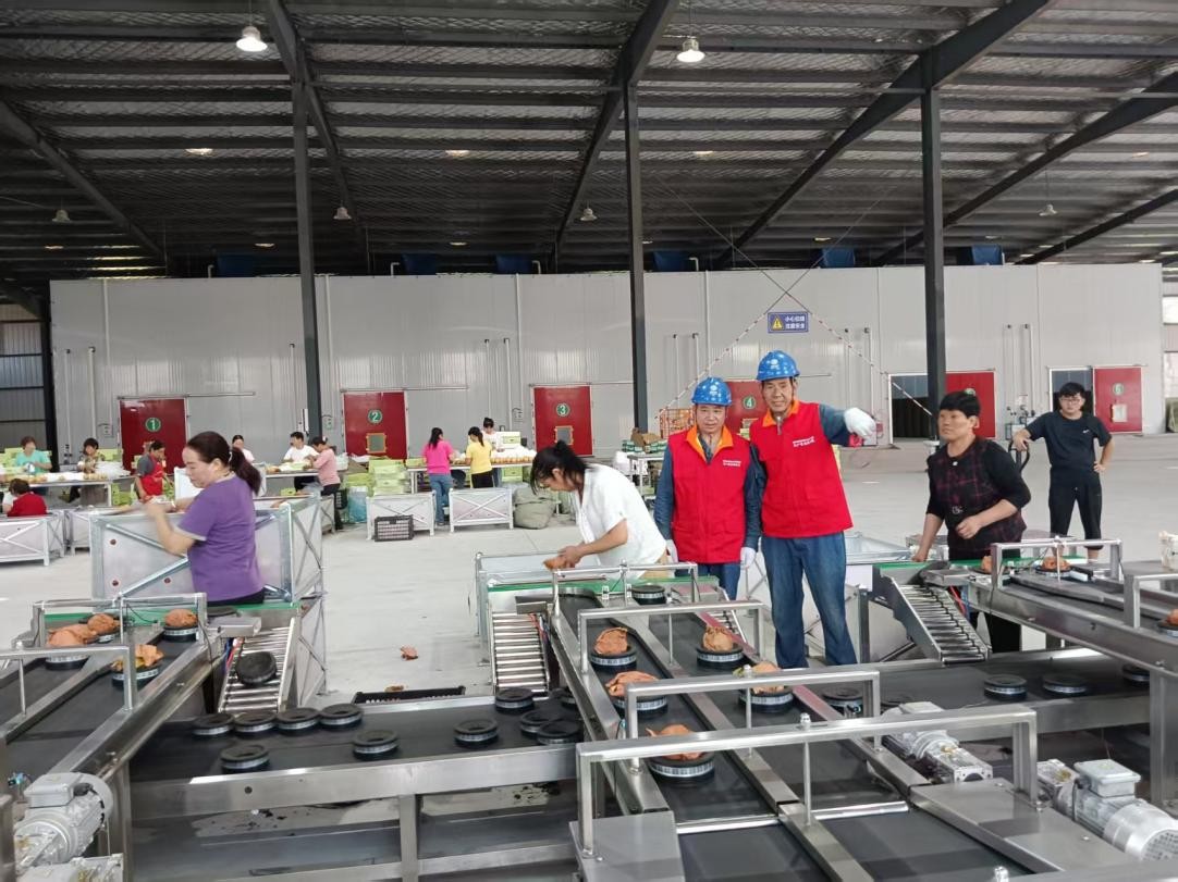 陜西洋縣草壩村：黃金梨帶動生態與經濟雙贏_fororder_圖片1