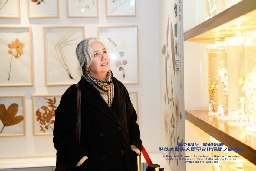 秦嶺為卷 五色成章 周至以生態與文化為媒 打造“世界會客廳”_fororder_圖片7