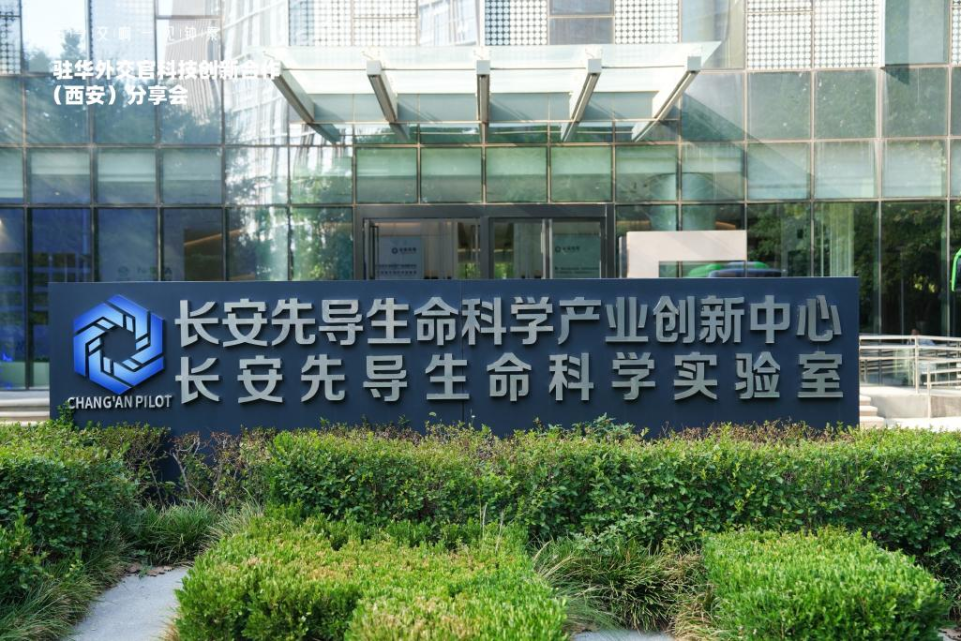 創新之橋跨越山海 科技外交再譜華章 共繪“一帶一路”科技合作新圖景_fororder_圖片6
