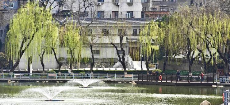 蓮湖公園 春意盎然_fororder_微信圖片_20260317092606_1416_356