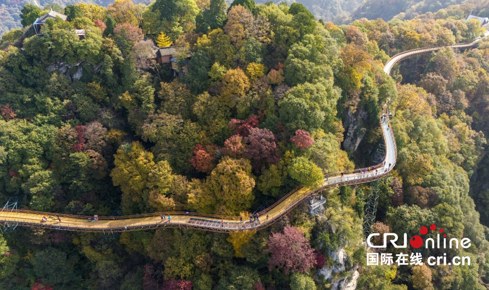 【至“陜”至美】少華秋色“醉”遊人_fororder_圖片6