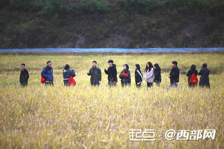 追尋紅色足跡 五里橋田園綜合體繪就鄉村振興新圖景