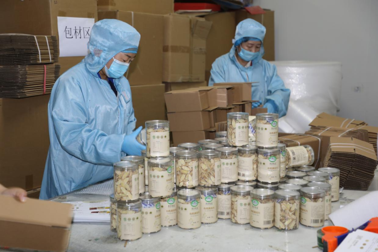 走出楊淩看示範｜科技賦能+展會經濟雙引擎 激發藥食同源發展新動能_fororder_11