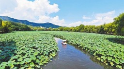 從好風景到好“錢”景——商洛深入探索生態産品價值實現機制