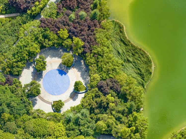 中湖公園 綠意盎然