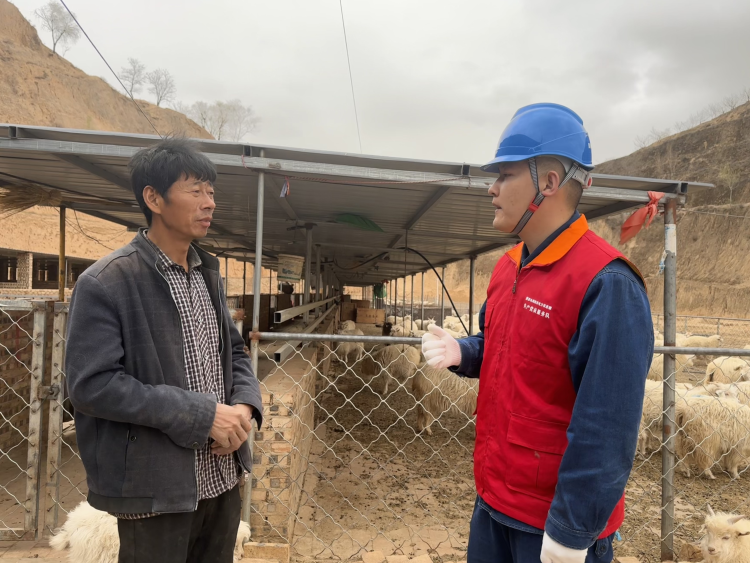 國網榆林供電公司：“電保姆”護航“羊”光致富路 助力鄉村振興“羊”帆起航_fororder_圖片2