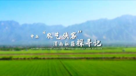 【外眼看陜西•我在中國學農技④】中亞“農藝俠客”渭南秘籍探尋記_fororder_微信圖片_20250512153848