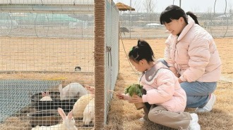 喚醒沉睡土地 繪就振興畫卷