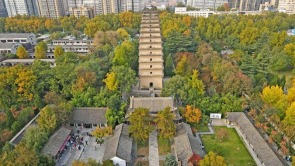 秋日小雁塔風景美