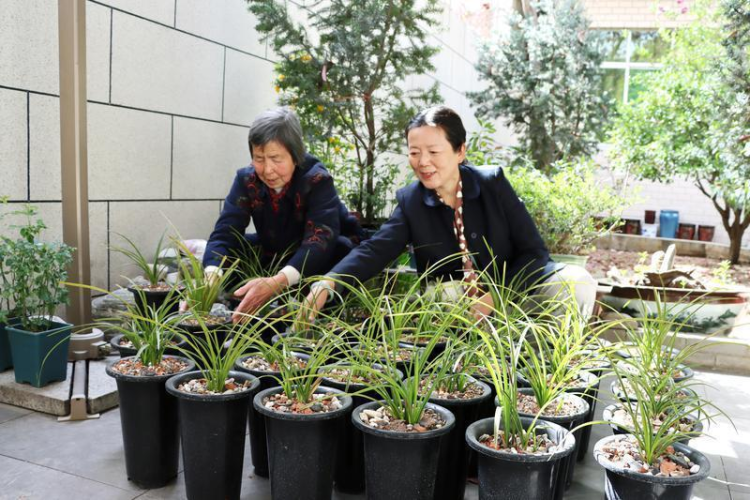 西安市長安區：蘭花寄養“開出”致富新路徑_fororder_圖片1