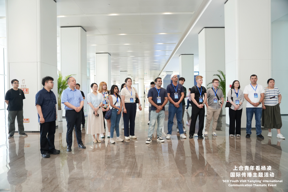 上合青年看楊淩活動啟動 首站看上合組織農業基地碩果盈枝_fororder_圖片7