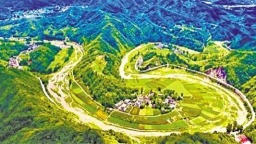 商南高山蔬菜走俏大灣區