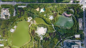 中湖公園 綠意盎然
