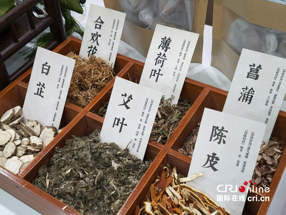【外籍專家西安行 ⑯】“望聞問切”解碼東方智慧  十國外籍專家雁塔共探中醫魅力_fororder_圖片2_副本
