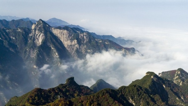 【至“陜”至美】少華秋色“醉”遊人