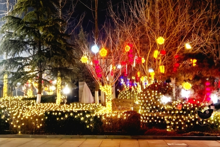 文博賀歲潤東秦 馬躍新程鬧新春 渭南市博物館2026年春節文化活動精彩紛呈（組圖）