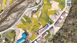 陜西省鎮巴縣首次發現史前遺址