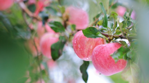 World Within Words —— Decoding "source code" of Chinese characters_fororder_微信圖片_20251113170717