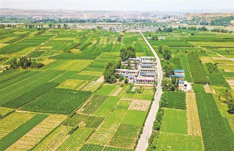 塞上沃野繪新卷 農業強市啟新程——榆林以農業現代化譜寫鄉村振興新篇章_fororder_微信圖片_20260126083057_2813_127