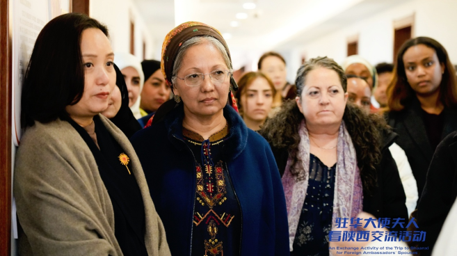 摩洛哥駐華大使夫人：婦女是國家發展的重要夥伴 陜西婦女故事令我備受鼓舞_fororder_圖片901