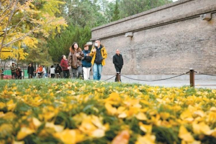 這就是文化傳承最美妙的方式_fororder_微信圖片_20251113092053_787_356