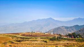 秦嶺腳下蕎麥香 峪口村畔好風光