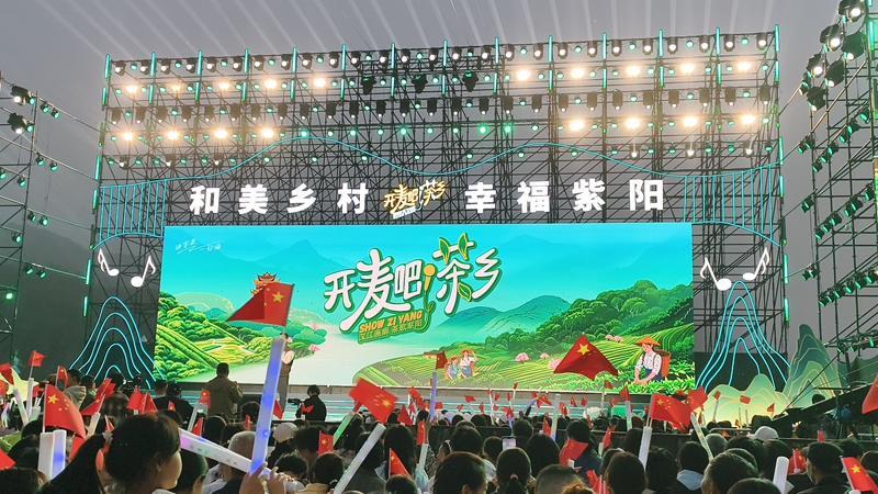 秦巴深處種出“金葉子”
