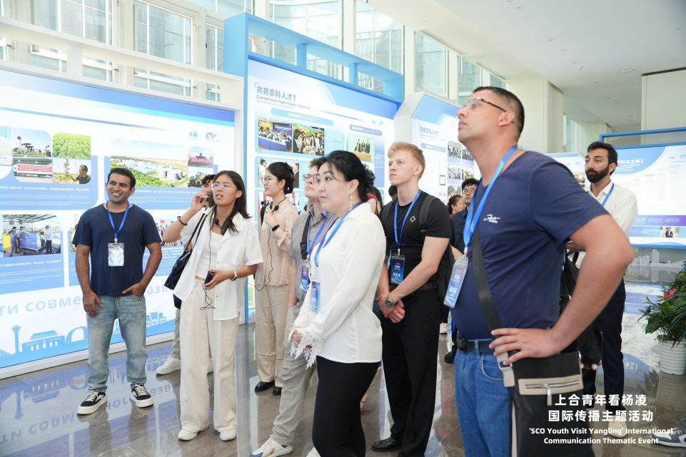 上合青年看楊淩活動啟動 首站看上合組織農業基地碩果盈枝_fororder_圖片4
