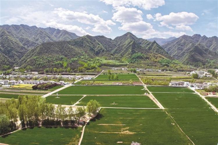 西安市智慧管山提升數字秦嶺含“綠”量_fororder_微信圖片_20250409091251