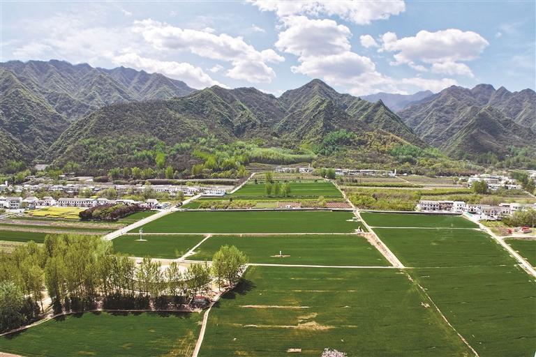 西安市智慧管山提升數字秦嶺含“綠”量_fororder_微信圖片_20250409091251