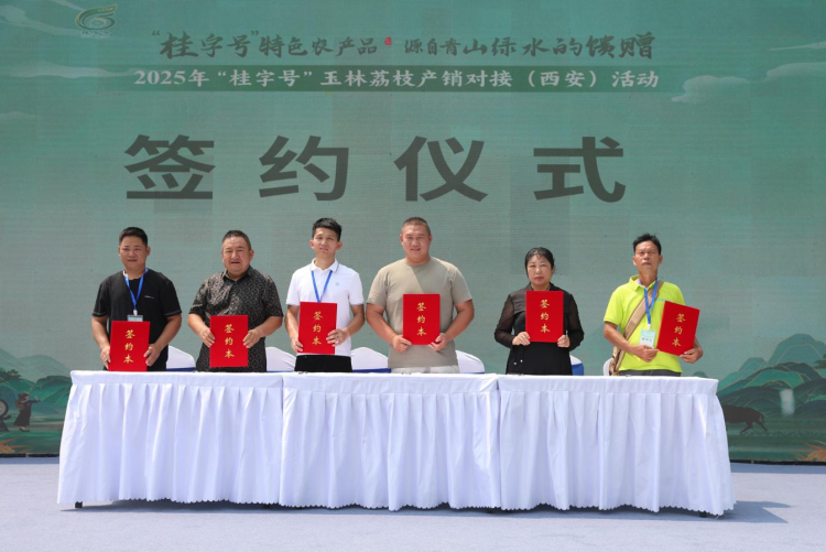 從嶺南到長安：玉林荔枝“牽手”西安市場 搭建兩地農業合作新橋梁_fororder_4·6