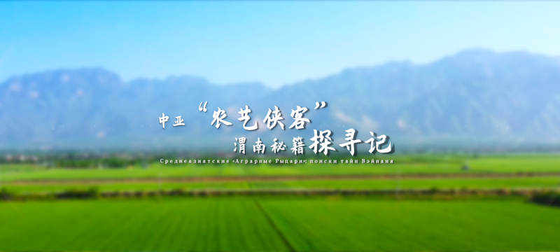 【外眼看陜西•我在中國學農技④】中亞“農藝俠客”渭南秘籍探尋記_fororder_微信圖片_20250430143243