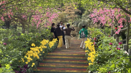 西安鄠邑：繁花織錦 激活文旅新引擎