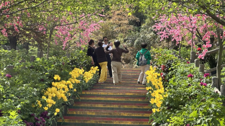 西安鄠邑：繁花織錦 激活文旅新引擎