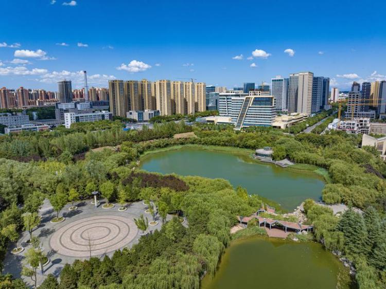 中湖公園 綠意盎然