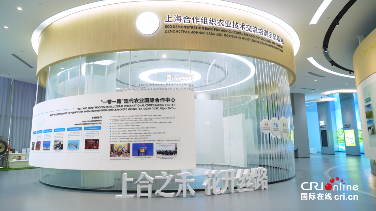 在楊淩開啟一場青春對話 10國16位上合組織國家青年將觸摸現代農業科技“脈搏”_fororder_圖片1_副本