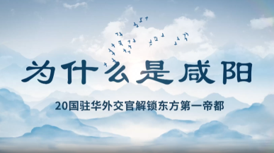為什麼是咸陽？20國駐華外交官解鎖東方第一帝都_fororder_微信圖片_2025-08-12_201820_682
