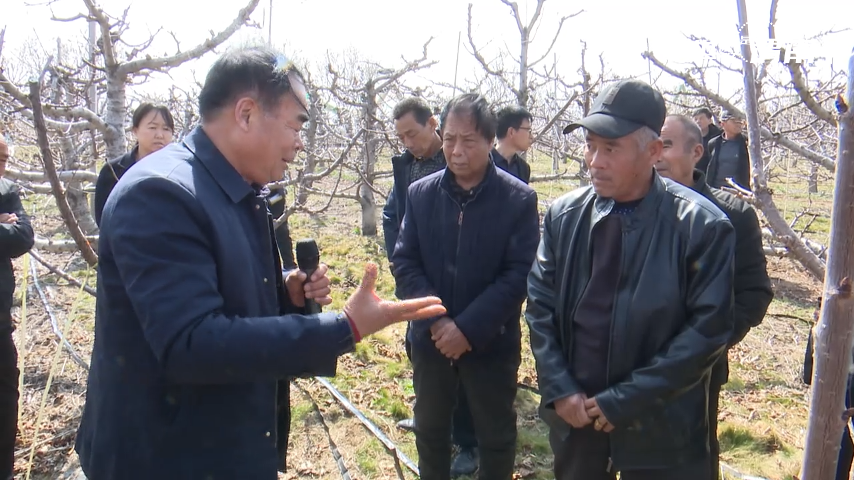 【“縣”聲奪人】陜西渭南：春潮涌動沃野興 特色産業春管忙_fororder_圖片2