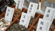 【外籍專家西安行 ⑯】“望聞問切”解碼東方智慧  十國外籍專家雁塔共探中醫魅力