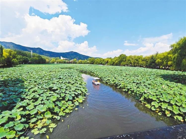 從好風景到好“錢”景——商洛深入探索生態産品價值實現機制_fororder_微信圖片_20250901104845_384_356
