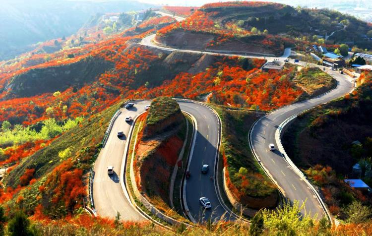 打造世界級旅遊目的地 臨潼為什麼能?_fororder_wps_doc_0