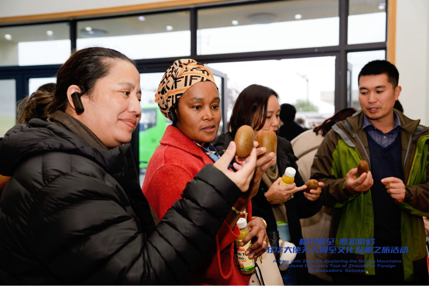 從秦嶺沃土到“絲路甜果” 駐華大使夫人見證中國鄉村産業振興之路_fororder_圖片36